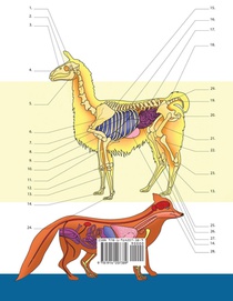 Libro Para Colorear de Veterinaria & Zoologia achterzijde
