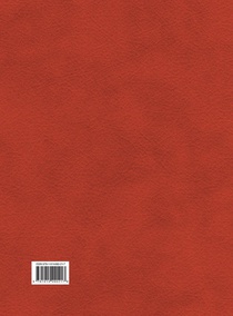 The Shorter Dictionary of Classical Hebrew Revised achterzijde