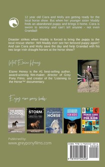 The Surprise Puppy and the Connemara Pony - The Coral Cove Horses Series achterzijde