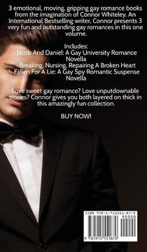 Contemporary Gay Romance Collection achterzijde