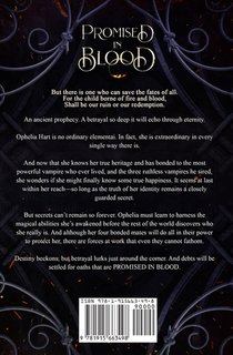 Promised in Blood achterzijde