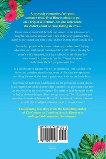 The Summer of Chasing Dreams achterzijde