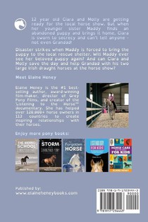 The Surprise Puppy and the Connemara Pony - Dyslexia Friendly achterzijde