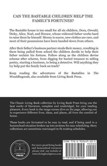 The Treasure Seekers achterzijde