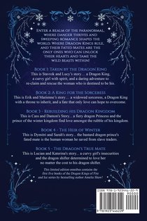 Dragon Kings of Fire and Ice achterzijde