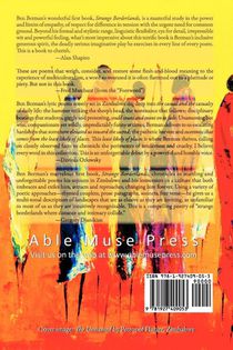 Strange Borderlands achterzijde