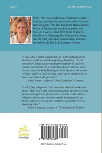 Into the Cracks achterzijde