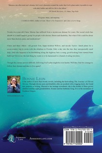 To Dance with Dolphins achterzijde