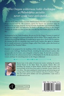 One Hundred Valleys achterzijde