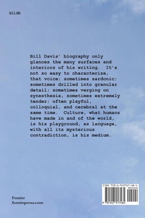 Cheap Gestures achterzijde