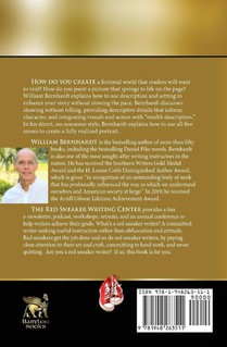 Dazzling Description achterzijde