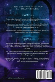 The Cauldron's Curse achterzijde