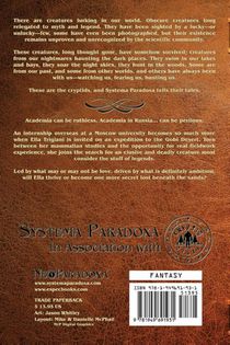 Sand and Secrets achterzijde