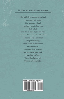 New Horizons achterzijde