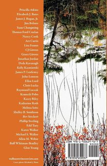 Walloon Writers Review achterzijde