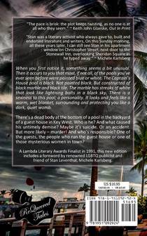 The Black Marble Pool achterzijde