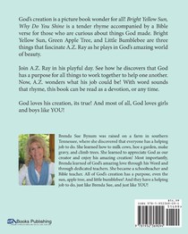 Bright Yellow Sun, Why Do You Shine? achterzijde