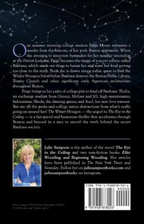 The Winter Hexagon achterzijde