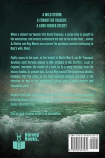 Spitfire Storm achterzijde