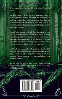 Shadows That Bind Us achterzijde