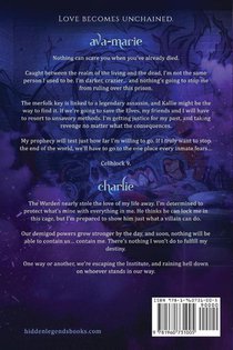 The Assassin's Destiny achterzijde