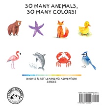 Rainbow Safari achterzijde