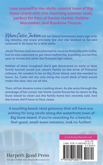 The Summer of Starting Over achterzijde