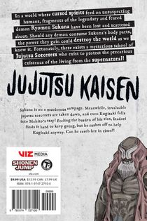 Jujutsu Kaisen, Vol. 15 achterzijde
