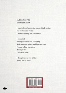 A Restricted View From Under the Hedge achterzijde