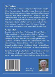 Chakras achterzijde