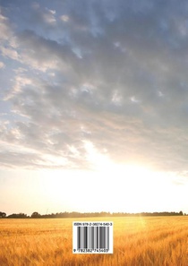 The Golden Road achterzijde