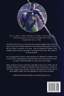 A Home of Mist achterzijde