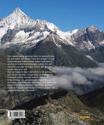 Wie Berge entstehen und vergehen achterzijde