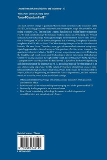 Toward Quantum FinFET achterzijde