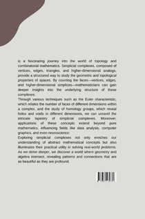 Can We Count All the Faces? Exploring Simplicial Complexes achterzijde