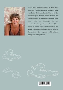 Mehr Wind unter den Flügeln achterzijde