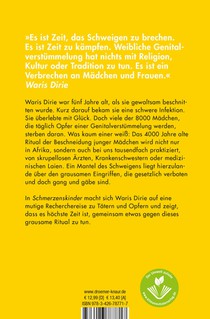 Schmerzenskinder achterzijde