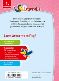 Leserabe Sonderausgaben - Magische Erstlesegeschichten von Elfen und Prinzessinnen achterzijde