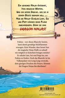 Dragon Ninjas, Band 2 - Der Drache des Feuers achterzijde