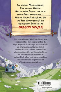 Dragon Ninjas, Band 3 - Der Drache des Himmels achterzijde