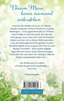 Samtpfötchen im Sonnenschein achterzijde