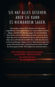 Die feindliche Zeugin achterzijde