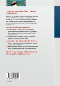 Traumafokussierte Kognitive Verhaltenstherapie Bei Kindern Und Jugendlichen achterzijde