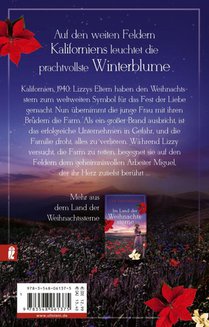 Wiedersehen im Land der Weihnachtssterne achterzijde