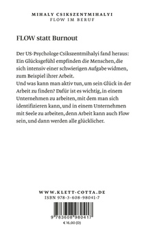 Flow im Beruf achterzijde