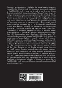 Advanced Nanoarchitectures with Photocatalytic Functionality achterzijde