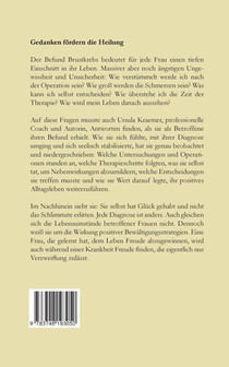 Mein Brustkrebs heisst Hermann achterzijde