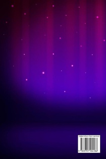 The Lost Magic Show Mystery achterzijde