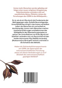 Riss im Sein achterzijde