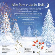 Mein liebstes Adventskalenderbuch achterzijde